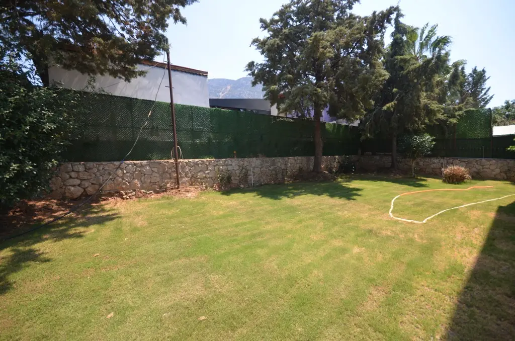 Mature garden